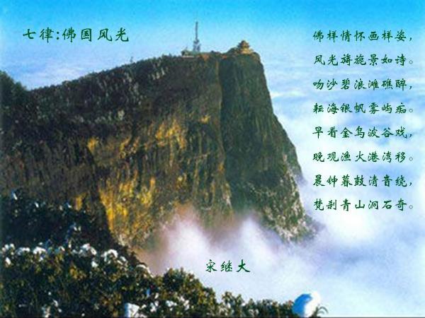 虫虫助手下载